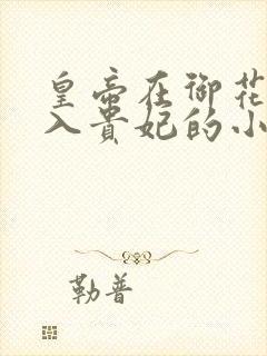 皇帝在御花园进入贵妃的小说