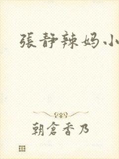 张静辣妈小说