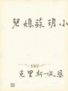 儿媳苏玥小说