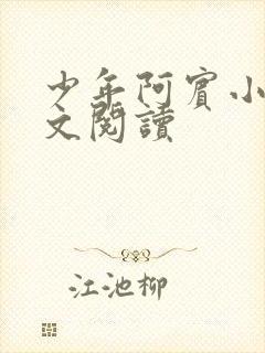 少年阿宾小说全文阅读