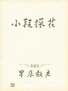 小段探花