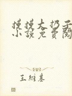 摸摸大扔子原著小说免费阅读