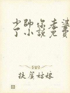 少帅你老婆又跑了小说免费阅读