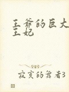 王爷的巨大进入王妃封面