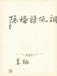 隐婚请低调txt