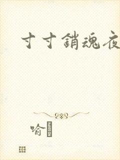 寸寸销魂夜春光封面