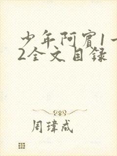 少年阿宾1一72全文目录