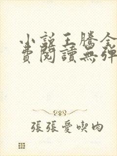 小说王腾全文免费阅读无弹窗
