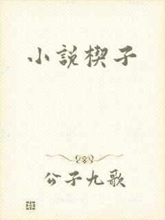 小说楔子