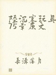 陆沉塞玩具高速75章原文