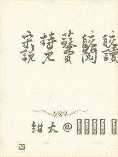 宋持苏皎皎的小说免费阅读封面