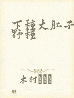 下种大肚子怀孕野种