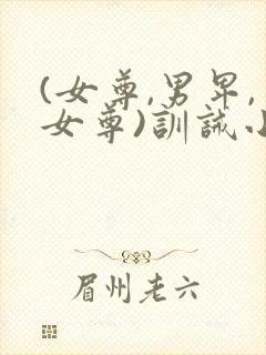 (女尊,男卑,女尊)训诫小说封面