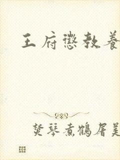 王府惩教养日常