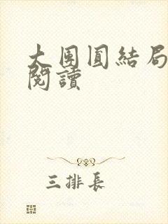 大团圆结局全文阅读封面