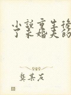 小说重生后我嫁了未婚夫的皇叔封面