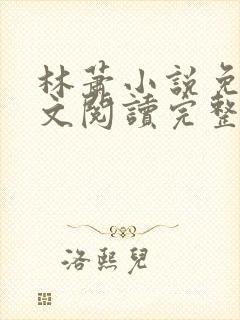 林萧小说免费全文阅读完整版