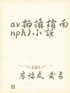 av拍摄指南(nph)小说封面