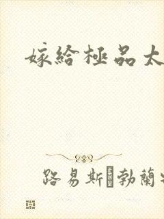 嫁给极品太子封面