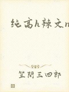 纯高h辣文np
