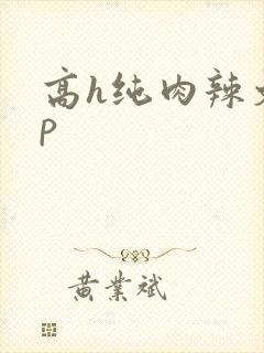 高h纯肉辣文np