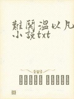 难哄温以凡桑延小说txt