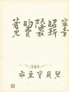 萧昀陆昭宁全文免费最新章节阅读