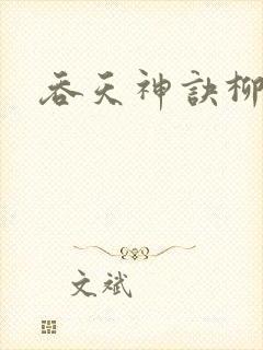 吞天神诀柳无邪