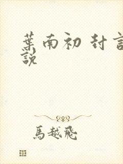 叶南初 封言小说