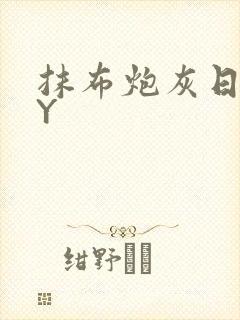 抹布炮灰日记BY