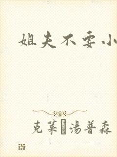 姐夫不要小说封面