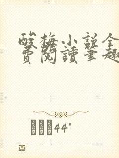 酸梅小说全文免费阅读笔趣阁