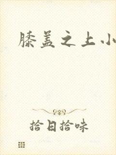 膝盖之上小说