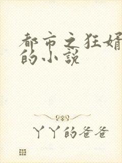 都市之狂婿战神的小说