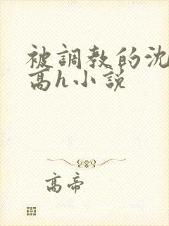 被调教的沈清清高h小说