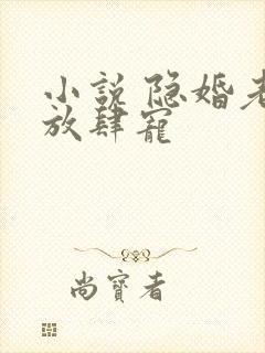 小说 隐婚老公放肆宠封面