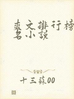 爽文排行榜前十名小说封面