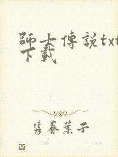 师士传说txt下载封面