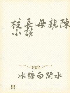校长母亲陈淑娴小说封面