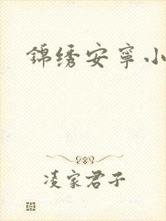 锦绣安宁小说封面