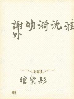 谢明漪沈淮舟番外