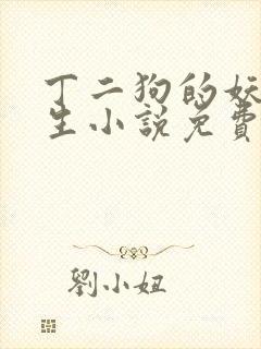 丁二狗的妖孽人生小说免费阅读全文
