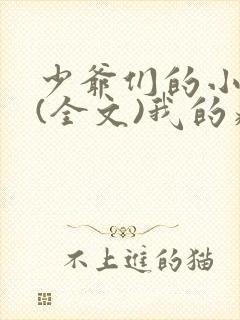 少爷们的小男仆(全文)我的病弱老婆