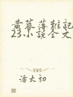 黄蓉落难记1—23小说全文封面