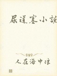 尿道塞小说