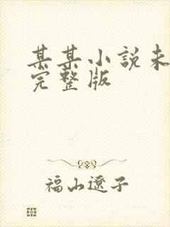 某某小说未删减完整版