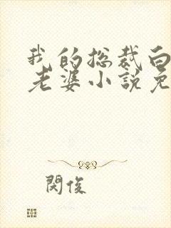 我的总裁白富美老婆小说免费阅读