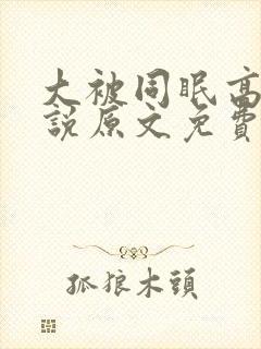 大被同眠高粱小说原文免费阅读封面