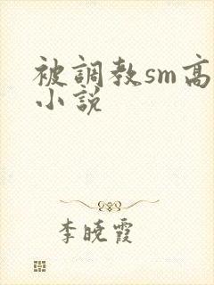 被调教sm高h小说