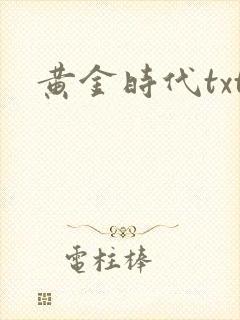黄金时代txt封面